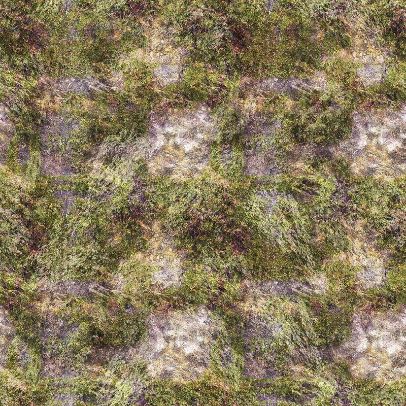 moss-covered rock surface
