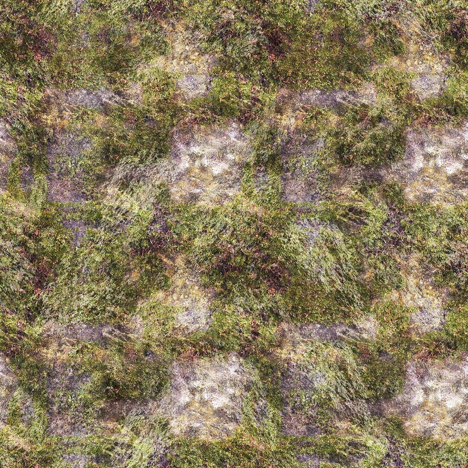 moss-covered rock surface