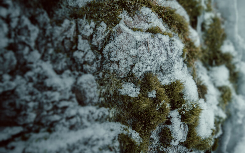 Moss-covered Rock with Snow — Green