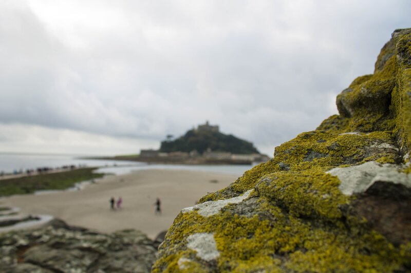 Moss-covered Rocks and Island
