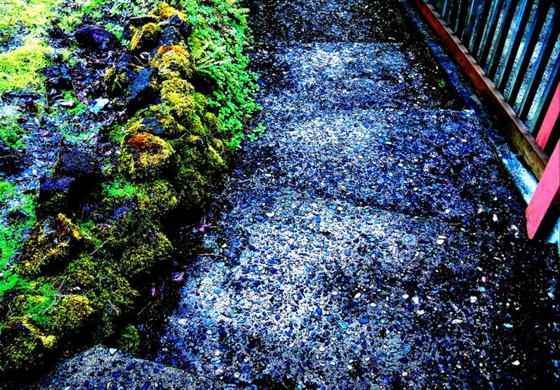 Moss-covered Rocks and Path