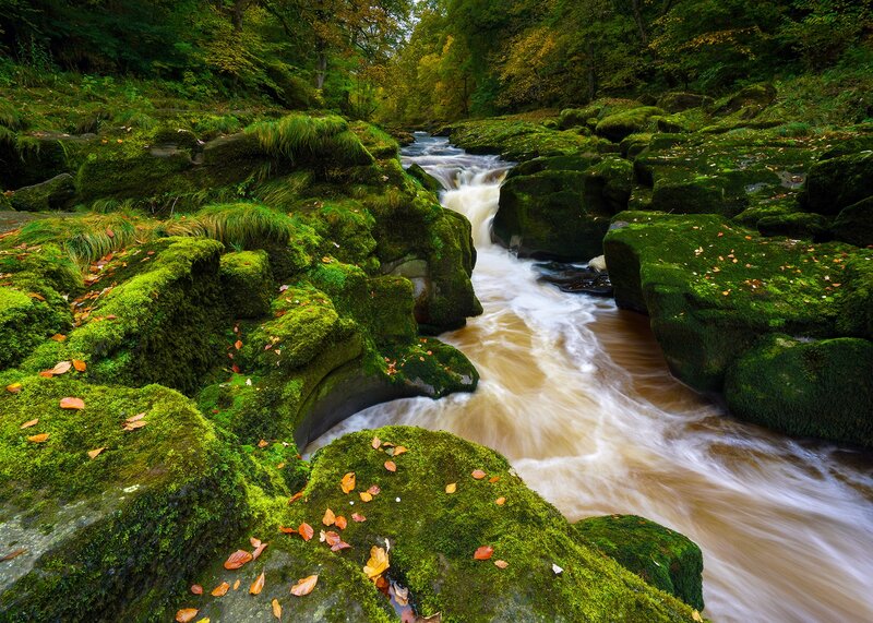 Moss-covered Rocks and Stream — Green, Serene, Autumn