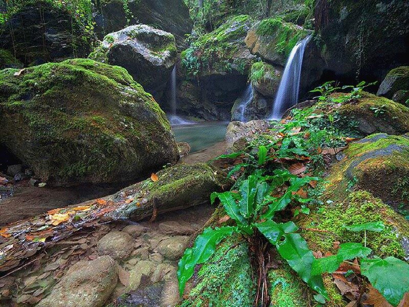 Moss-covered Rocks and Waterfall — Green, Serene, Photograph