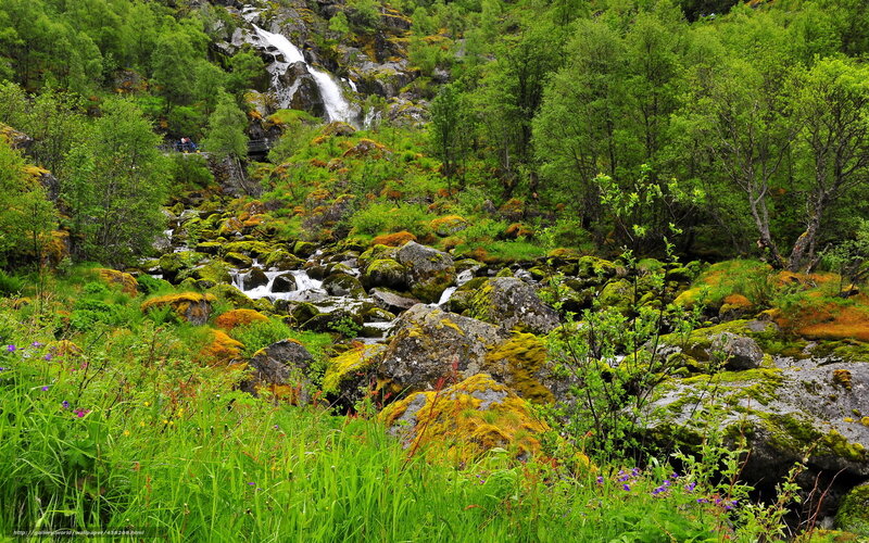 Moss-covered Rocks and Waterfall — Green, Serene, Summer