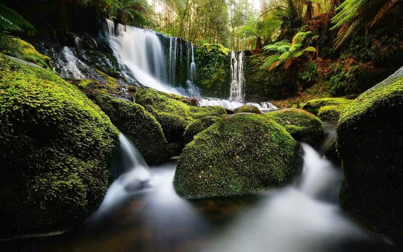 Moss-covered Rocks and Waterfall — Green