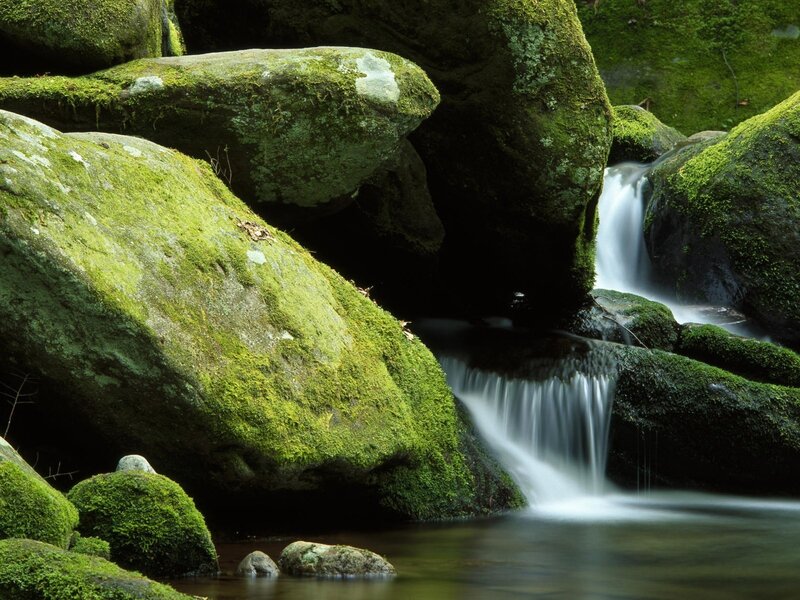 Moss-covered rocks and waterfall