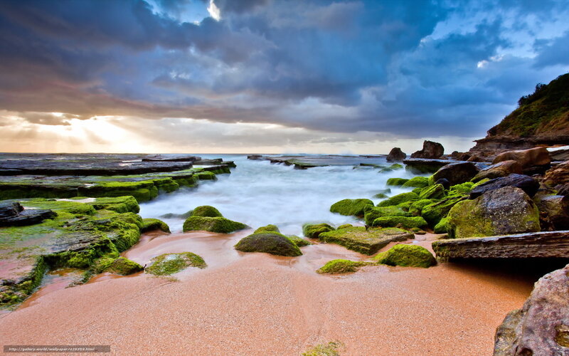 Moss-covered Rocks at Beach — Green, Dramatic