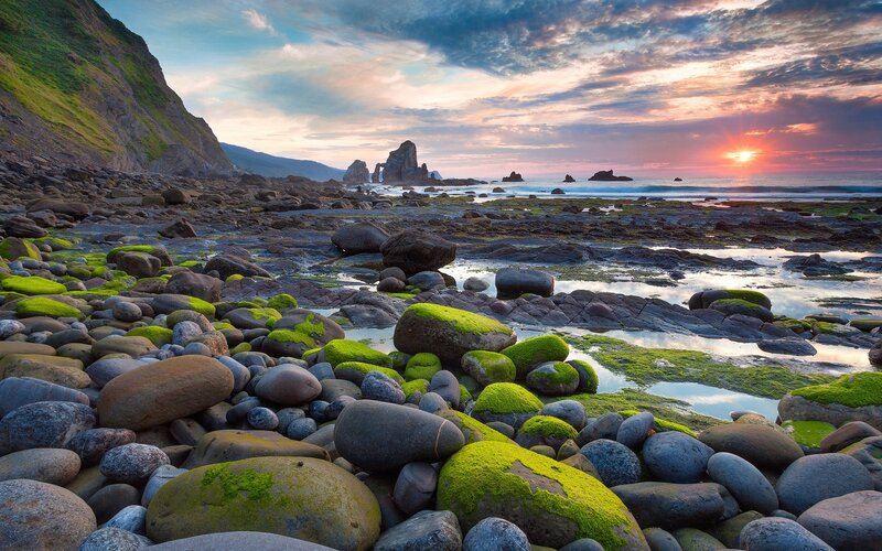 Moss-covered Rocks at Beach — Green, Serene, Sunset, Photograph, Sea