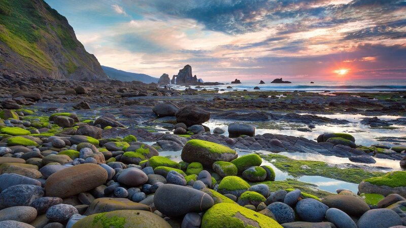Moss-covered Rocks at Beach — Green, Serene, Sunset
