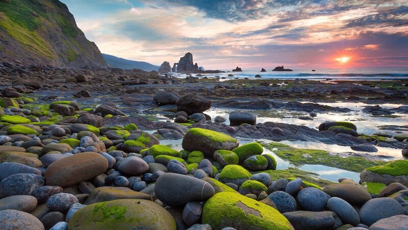 Moss-covered Rocks at Beach — Green, Serene