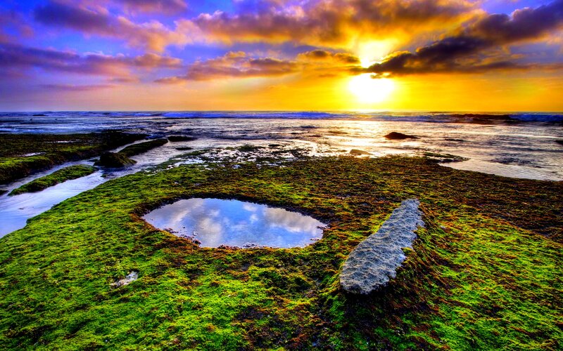 Moss-covered Rocks at Beach — Green