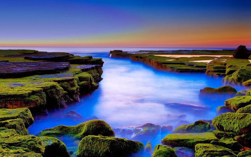 Moss-covered Rocks at Coast — Blue