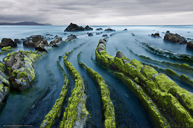 Moss-covered Rocks at Coast — Green, Serene