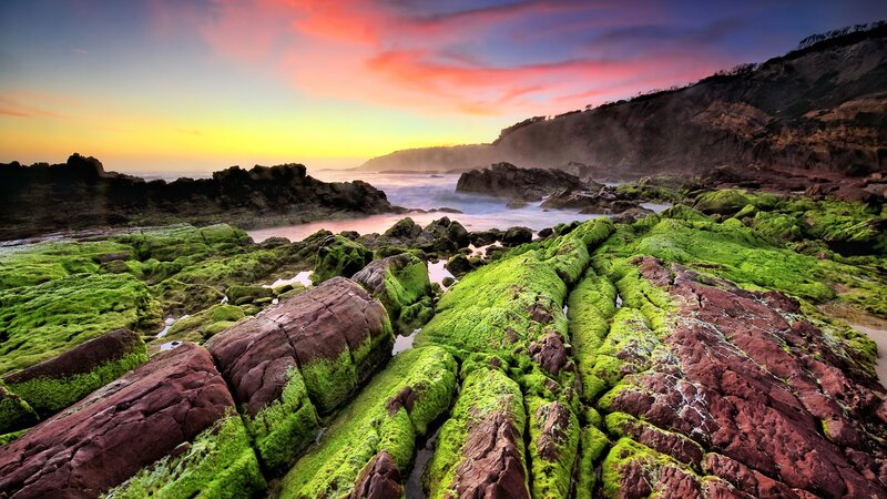 Moss-covered Rocks at Coast — Green
