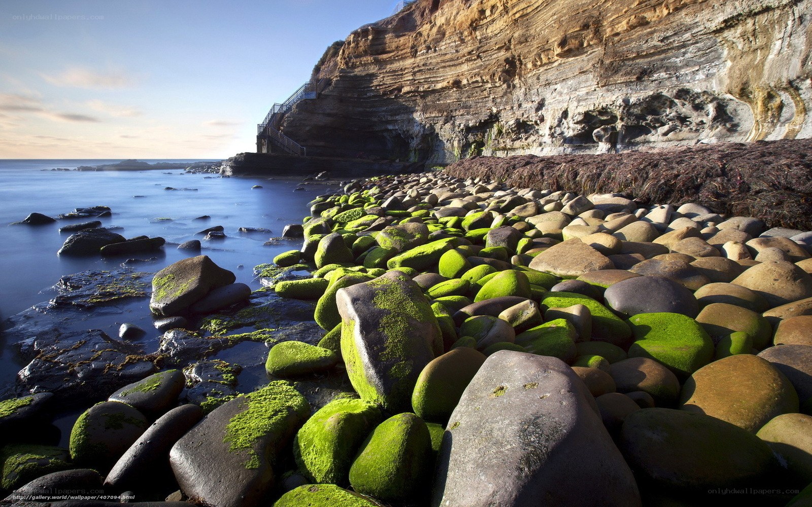 Moss-covered rocks at coastal cliff