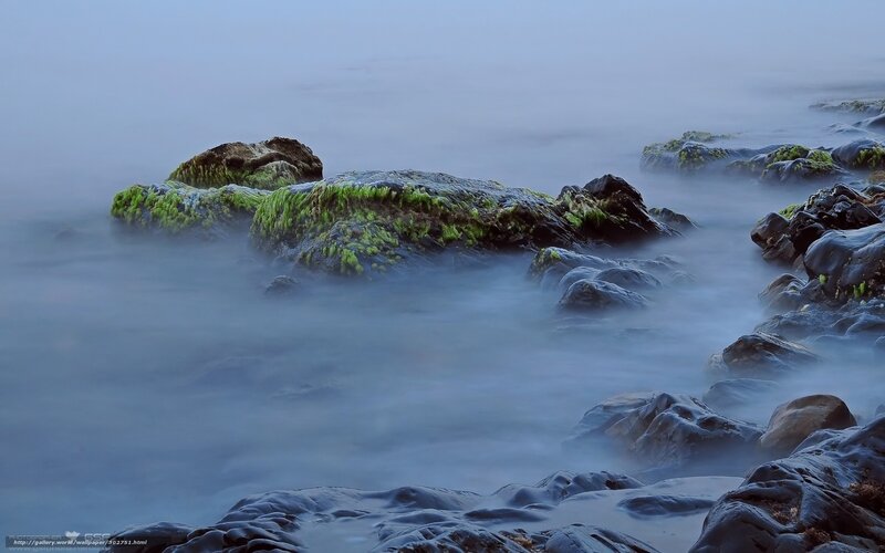 Moss-covered rocks at dawn