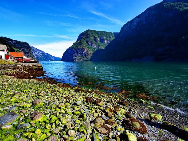 Moss-covered Rocks at Fjord