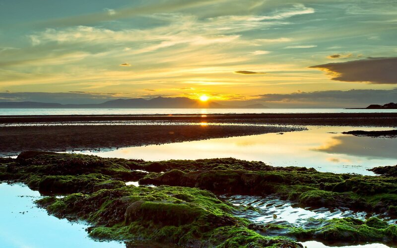 Moss-covered Rocks at Low Tide