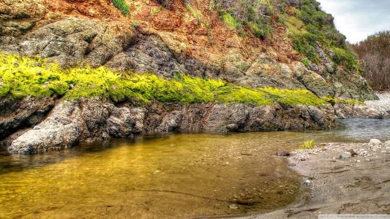 Moss-covered Rocks at Riverbank