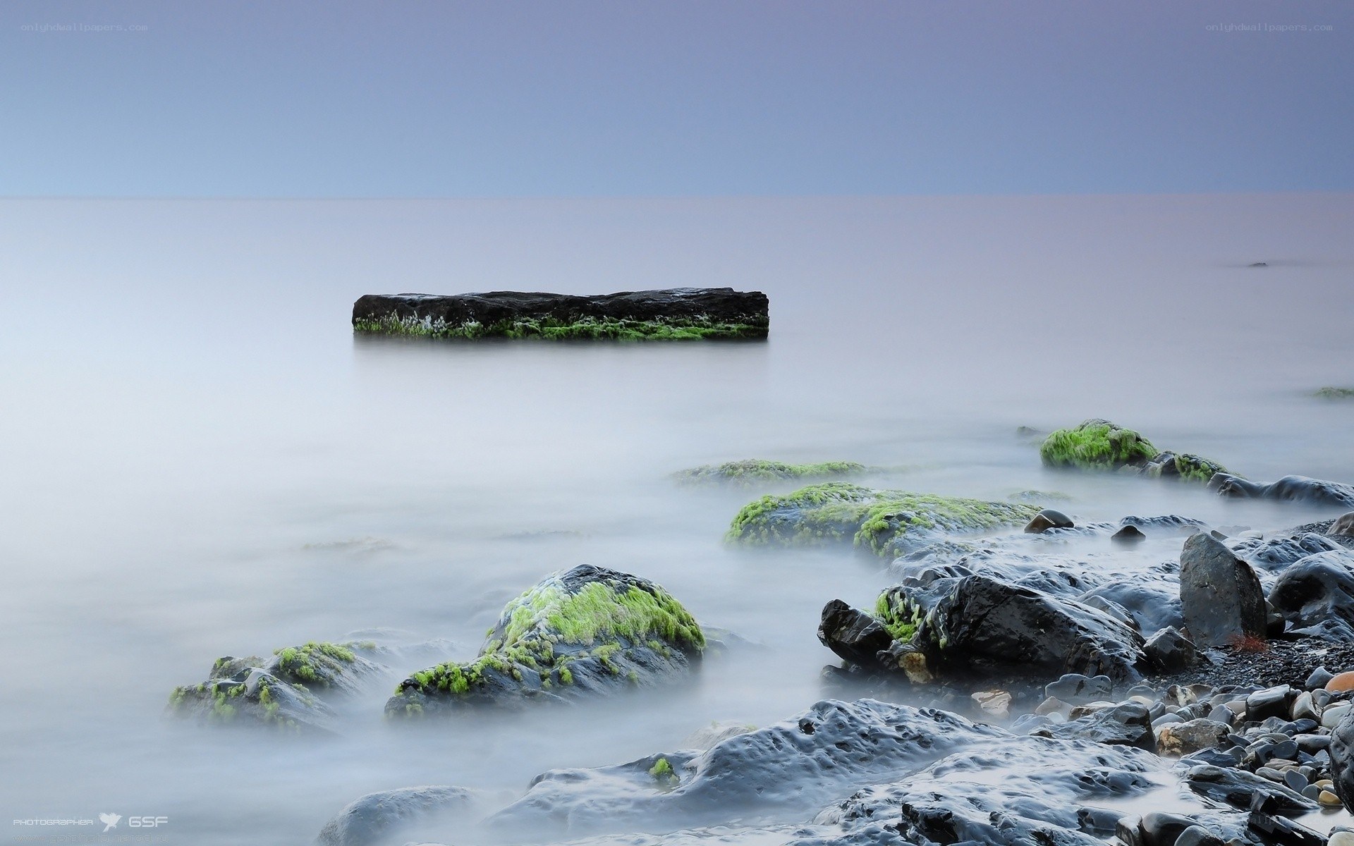 Moss-covered rocks at sea