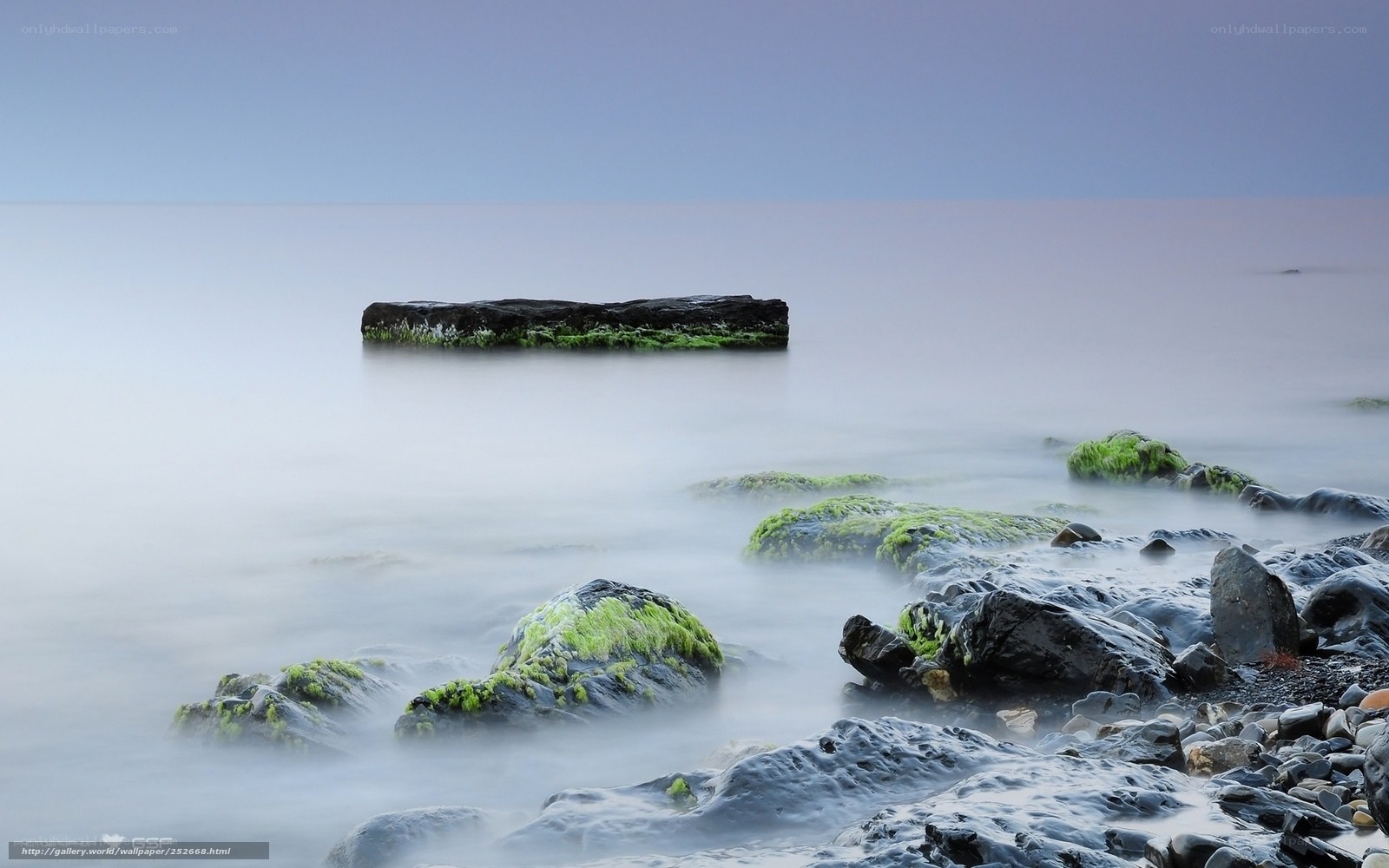 Moss-covered rocks at sea