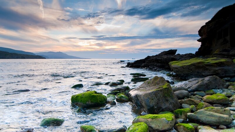Moss-covered Rocks at Shore — Blue, Serene, Sunset