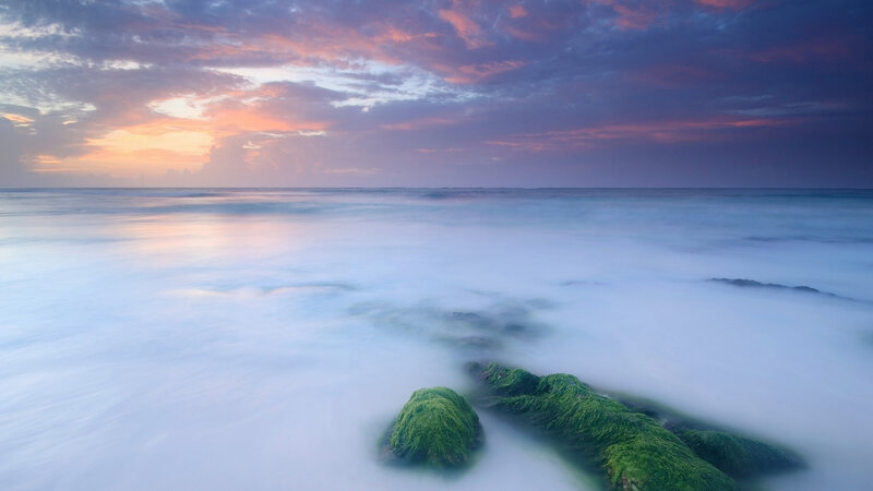 Moss-covered Rocks at Shore — Blue, Serene