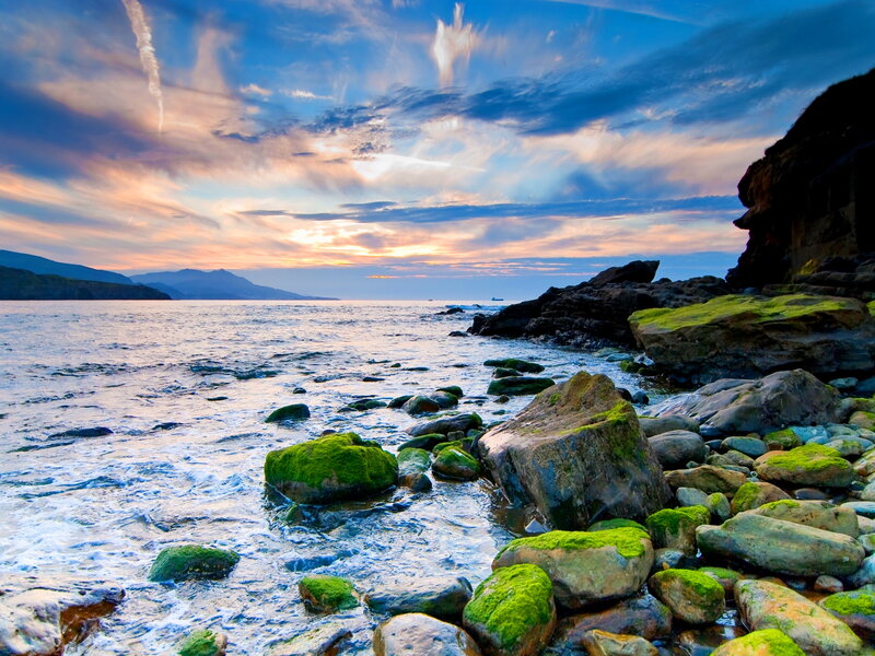 Moss-covered Rocks at Shore — Blue