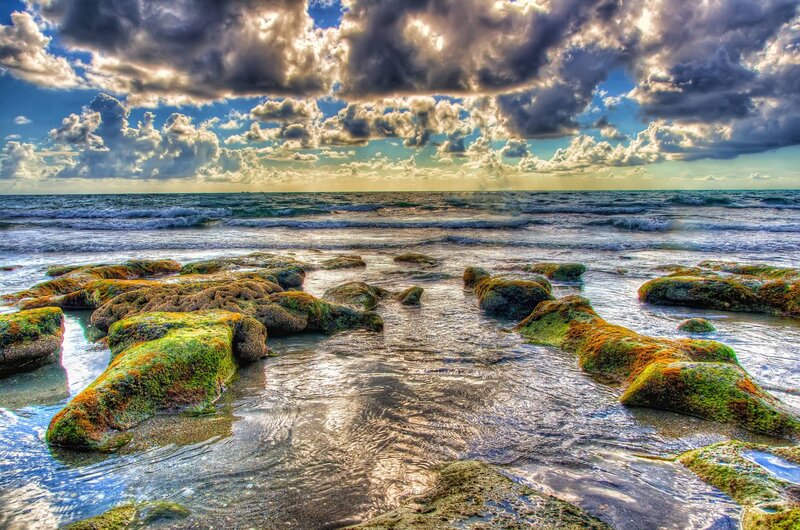 Moss-covered Rocks at Shore — Green, Dramatic, Afternoon