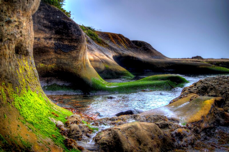 Moss-covered Rocks at Shore — Green, Dramatic, Photograph