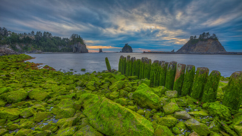 Moss-covered Rocks at Shore — Green, Dramatic, Sunset, Photograph