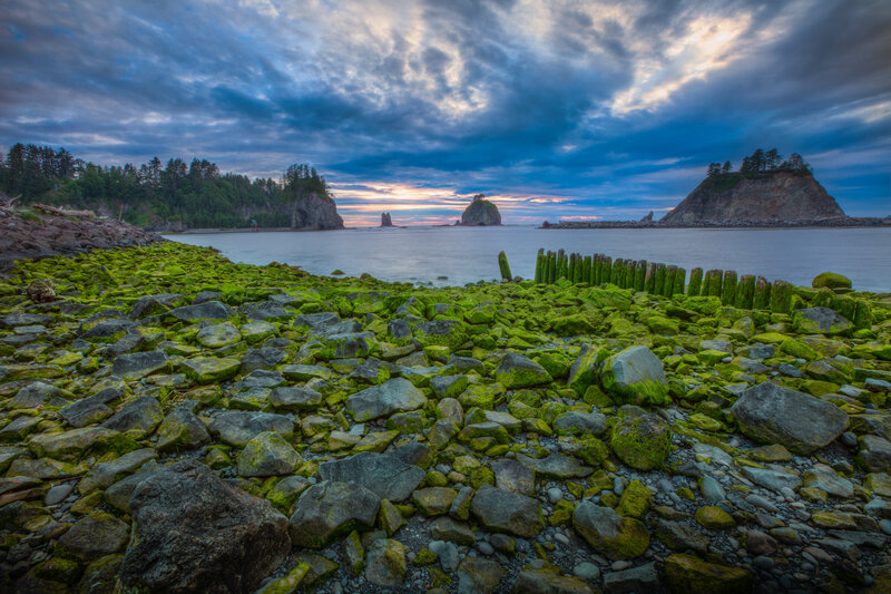 Moss-covered Rocks at Shore — Green, Dramatic, Sunset