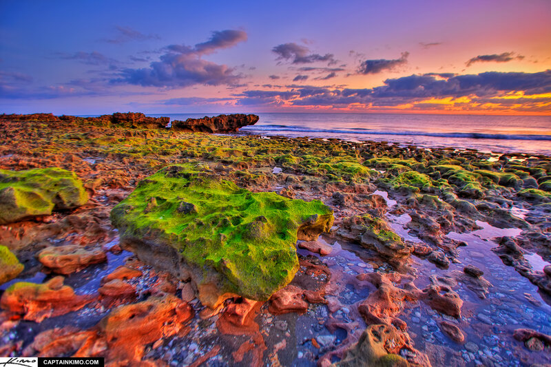 Moss-covered Rocks at Shore — Green, Dramatic