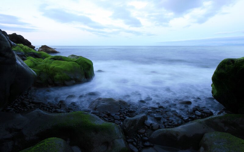 Moss-covered Rocks at Shore — Green, Serene, Morning, Photograph, Ocean, Pebbles