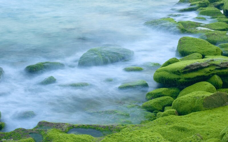Moss-covered Rocks at Shore — Green, Serene, Photograph