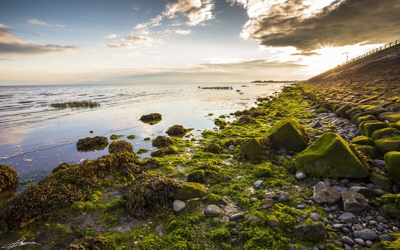 Moss-covered Rocks at Shore — Green, Serene, Sunset, Photograph, Ocean, Sky, Seaweed