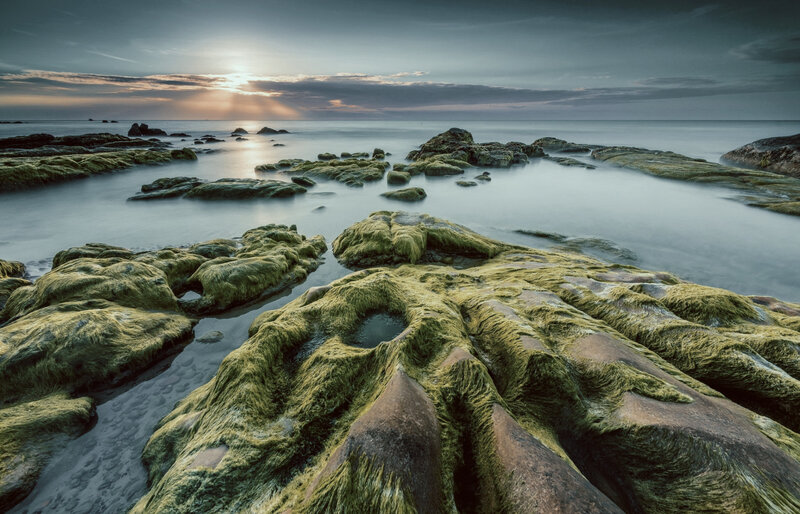 Moss-covered Rocks at Shore — Green, Serene, Sunset, Photograph, Ocean, Sky, Sun