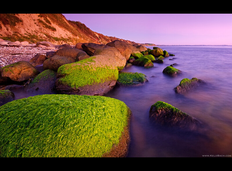 Moss-covered Rocks at Shore — Green, Serene, Sunset, Photograph, Sea