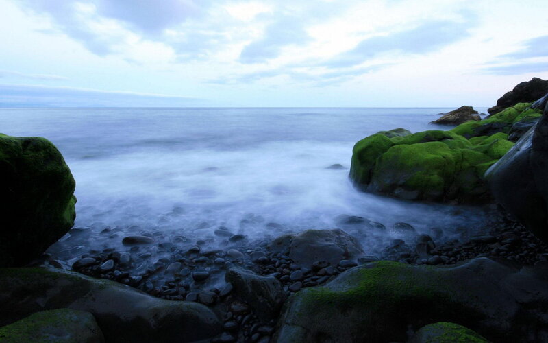 Moss-covered Rocks at Shore — Green, Serene