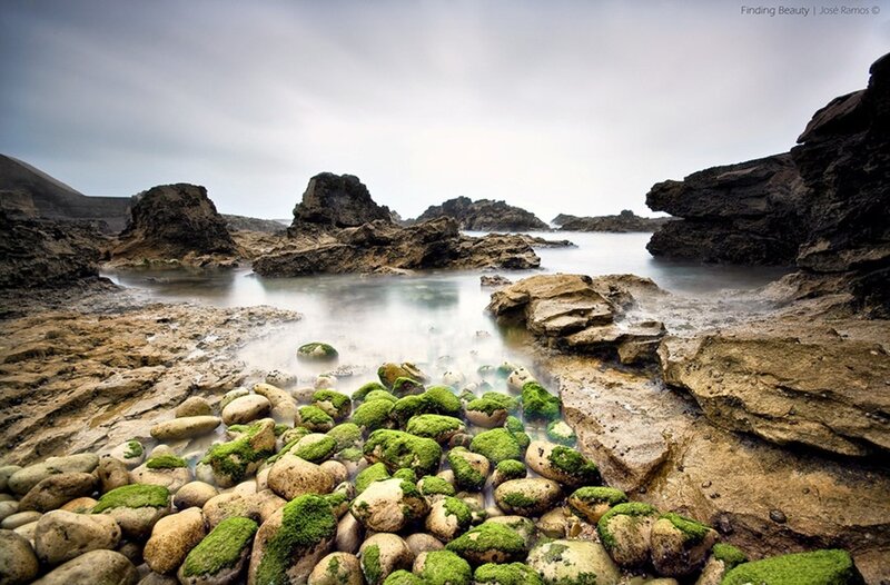 Moss-covered Rocks at Shore — Green