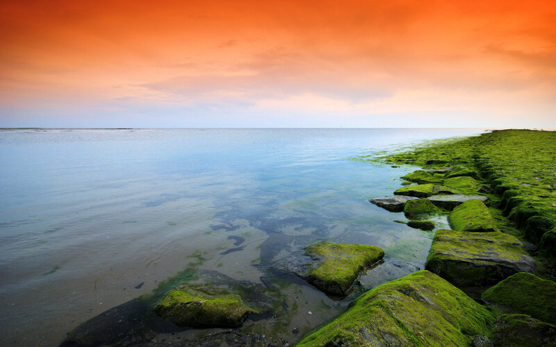 Moss-covered Rocks at Shore — Orange