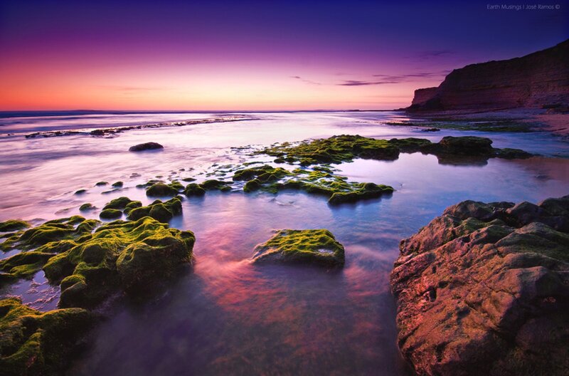 Moss-covered Rocks at Shore — Purple