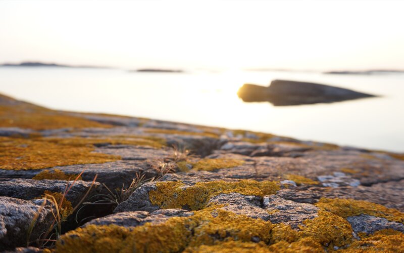 Moss-covered Rocks at Shore — Yellow