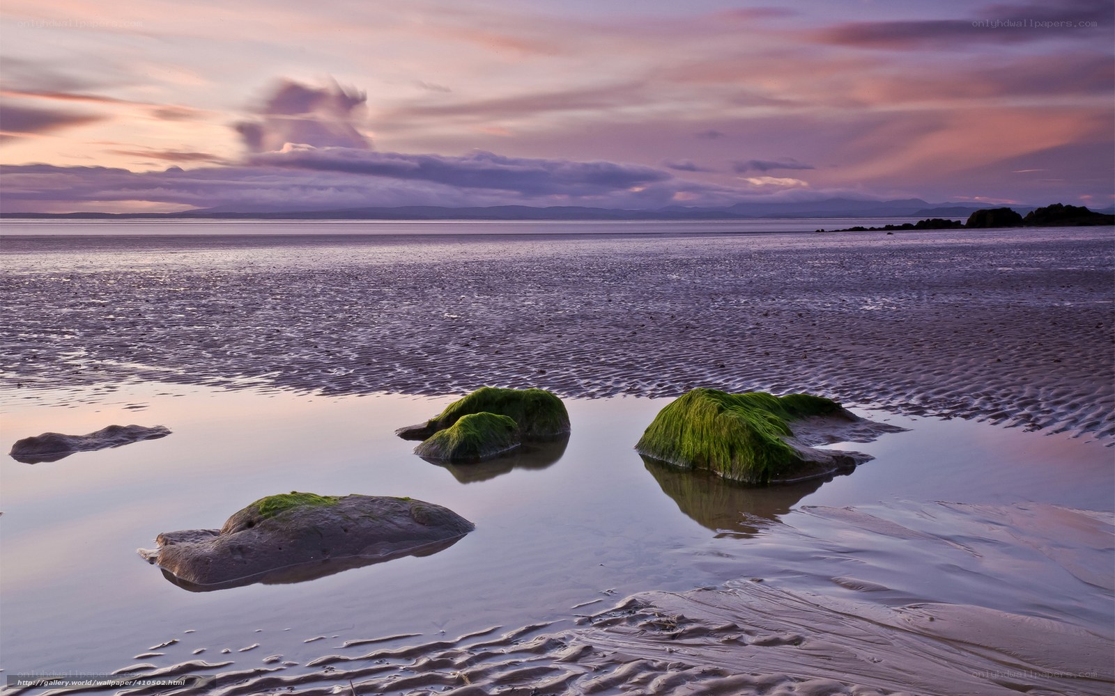 Moss-covered rocks at sunset