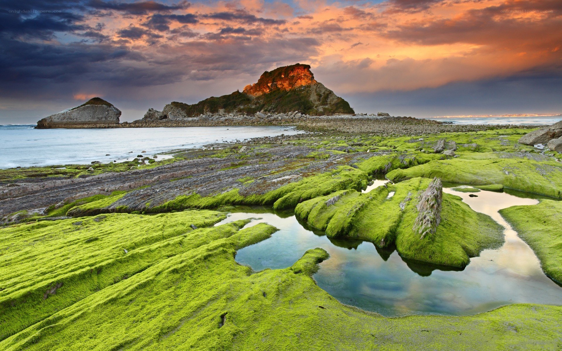 Moss-covered rocks at sunset