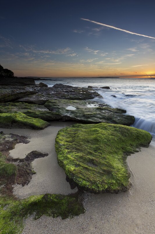 Moss-covered rocks at sunset