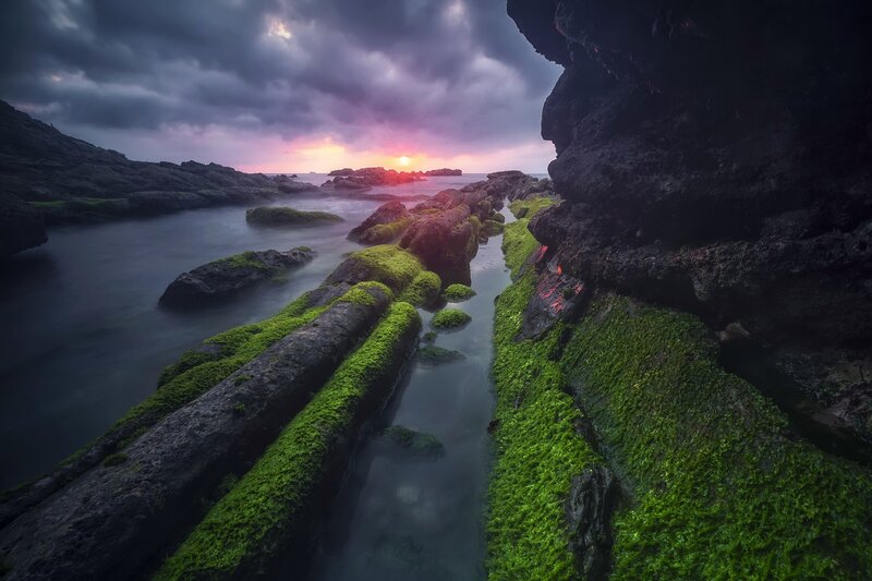 Moss-covered Rocks at Sunset — Green, Dramatic