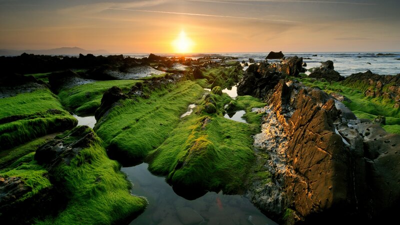 Moss-covered Rocks at Sunset — Green, Serene, Photograph