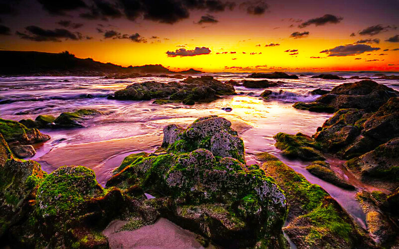 Moss-covered Rocks at Sunset — Orange, Dramatic