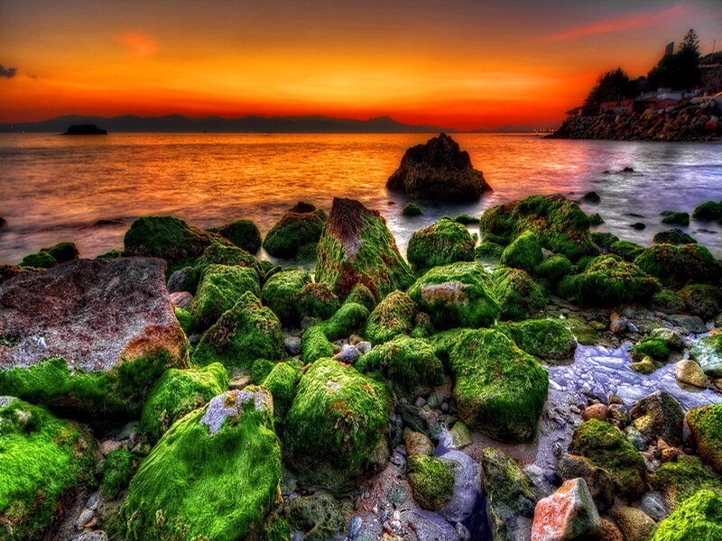 Moss-covered Rocks at Sunset — Orange
